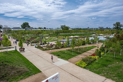 The grounds of the Federal Horticultural Show