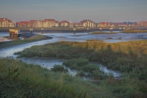 Salt marsh and mudflats at the nature reserve De IJzermonding at Nieuwpoort