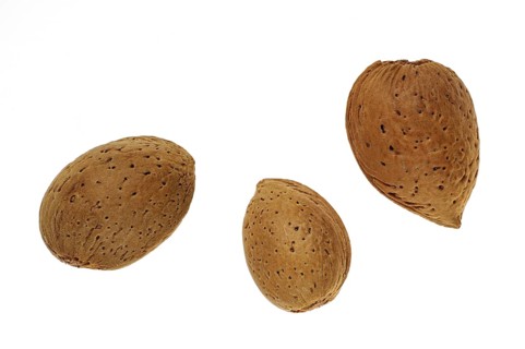 Close up of three unshelled almond nuts