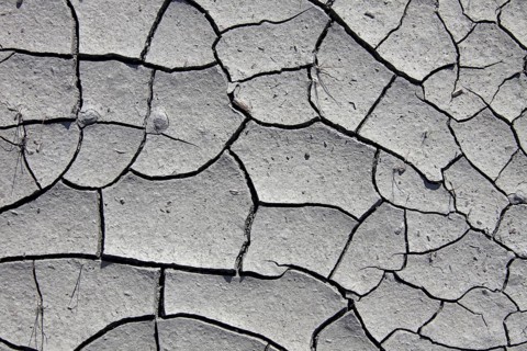Dry cracked mud in dried out pond