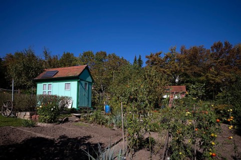 Garden shed