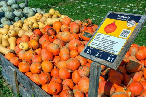 Outdoor pumpkin sale