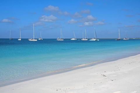 Sailing boats