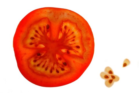 Slice of tomato