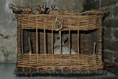 Basket with homing pigeon in museum of First World War One Fort de Vaux at Vaux-Devant-Damloup