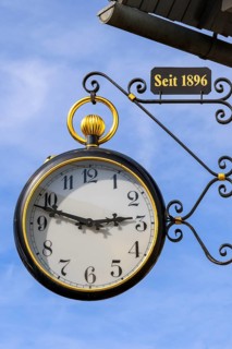 Pocket watch