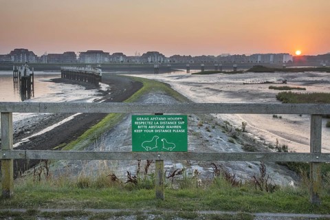 Salt marsh and mudflats at the nature reserve De IJzermonding at Nieuwpoort