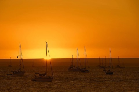 Sailing boats