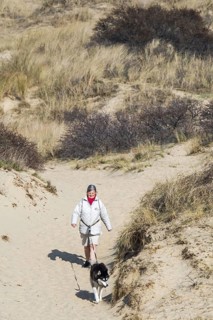 Woman walking with Siberian Husky dog on the lead in sand dunes along the North Sea coast in spring