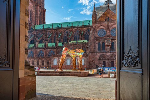 Cathedrale Notre-Dame de Strasbourg of Strasbourg in France