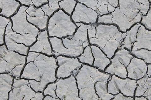 Dry cracked mud in dried out pond