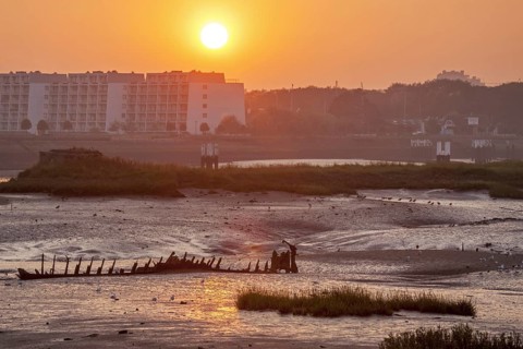 Salt marsh and mudflats at the nature reserve De IJzermonding at Nieuwpoort