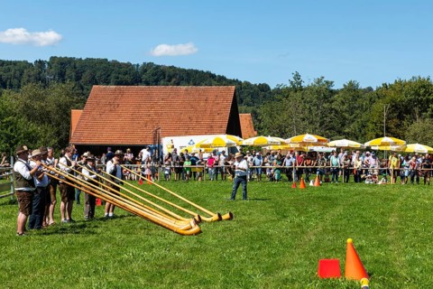 Alphorn blowers