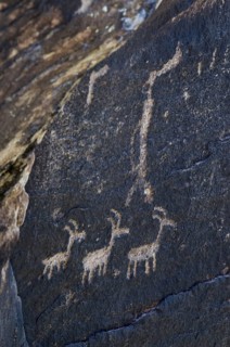 Ancient petroglyphs near Puerco Pueblo made by ancestral Puebloan people showing anthropomorphs