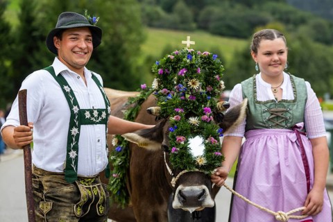 Alpine children leading alpine cattle