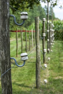 Porcelain pin insulators and Wire of Death
