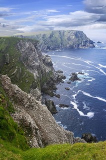 Spectacular coastline with Northern gannet