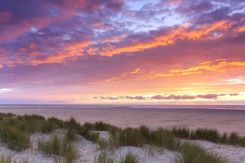 Beach and marram grass