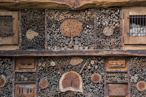 Insect hotel for solitary bees and artificial nesting place for insects