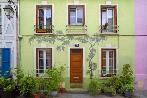Painting of a wisteria on a house