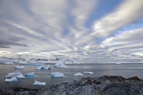 Icebergs around Cuverville Island