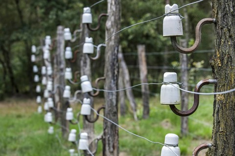 Porcelain pin insulators and Wire of Death