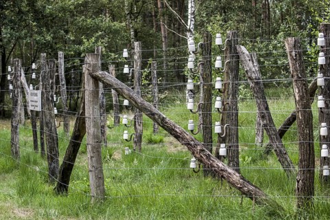 Porcelain pin insulators and Wire of Death