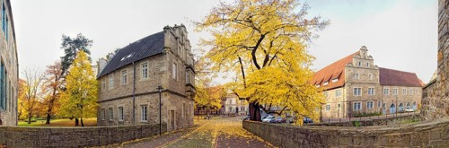 Autumn panorama court lime tree in front of Stadthagen Castle Germany