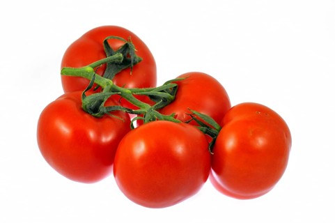 Bunch of vine tomatoes