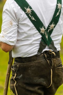 Alpine herdsman on the meadow