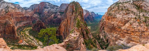 Panoramic of the Zion Canyon seen from the Angels Landing Trail high up in the mountain in Zion National Park