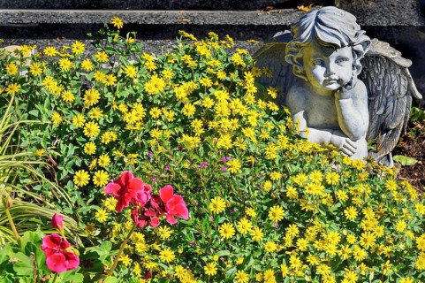Grave with putto and floral decoration