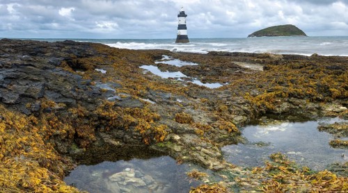 Trwyn Du Lighthouse at Penmon Point