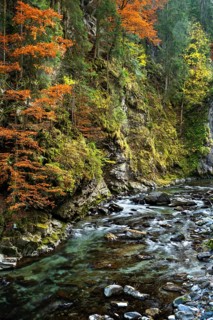 The Breitachklamm gorge with the Breitach river in autumn. A rock face and trees in autumn leaves. Rocks in the river. Long exposure. Oberstdorf