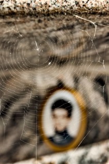 Spider's web on a tombstone in front of a blurred photo Medailion of the deceased in a cemetery