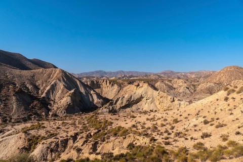 Precious curve in the path of the desert canyon of Tabernas
