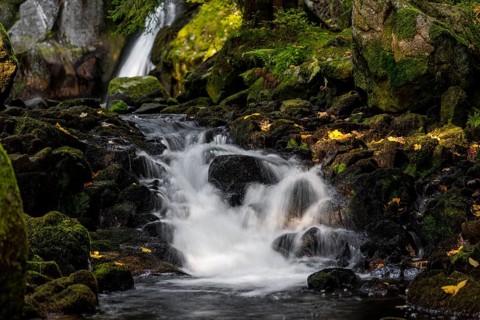 Waterfall in autumn forest with rocks