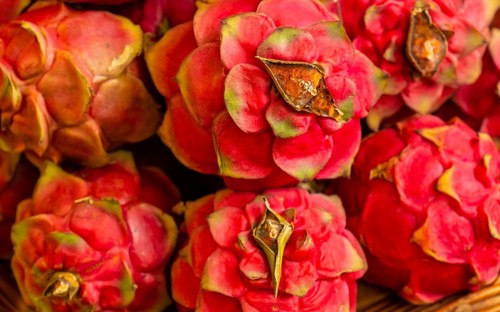Pitahaya at the Farmers Market in the Madeira city of Funchal. Portugal