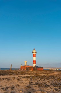 Faro Toston