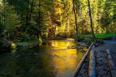 The Eistobel nature reserve