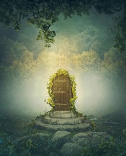 The fairytale door in the woods. Magical fantasy scene in the forest with a gate as portal to wonderland