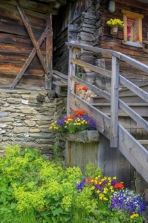 Old alpine hut with flowers on the Fane Alm