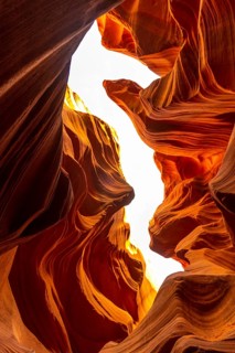 The Lower Antelope seahorse in Arizona. United States