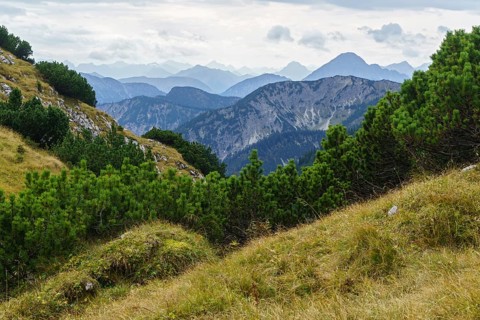 Ammergau Alps