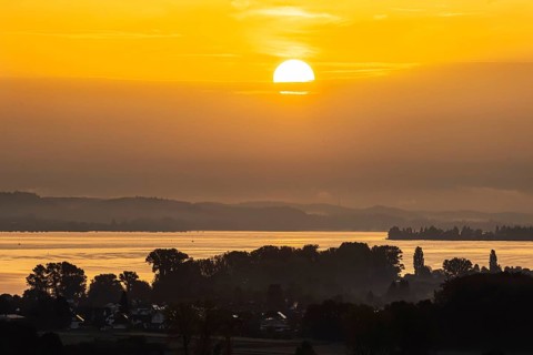 Sunrise at Lake Constance nature reserve Zeller Aachried with autumn fog