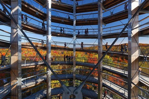 Tree top pad