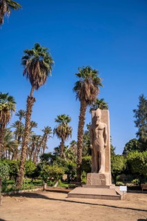 Detail of the sculpture between the palm trees of Pharaoh Ramses II at Memphis in Cairo