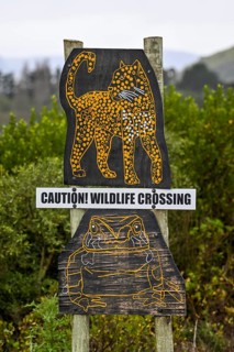 Game sign