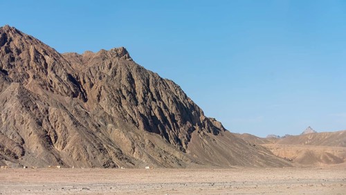 Arabian Desert