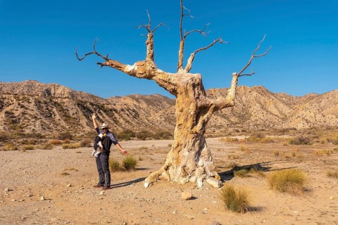 A young hiker girl visiting the tree of misfortune near the desert canyon of Tabernas